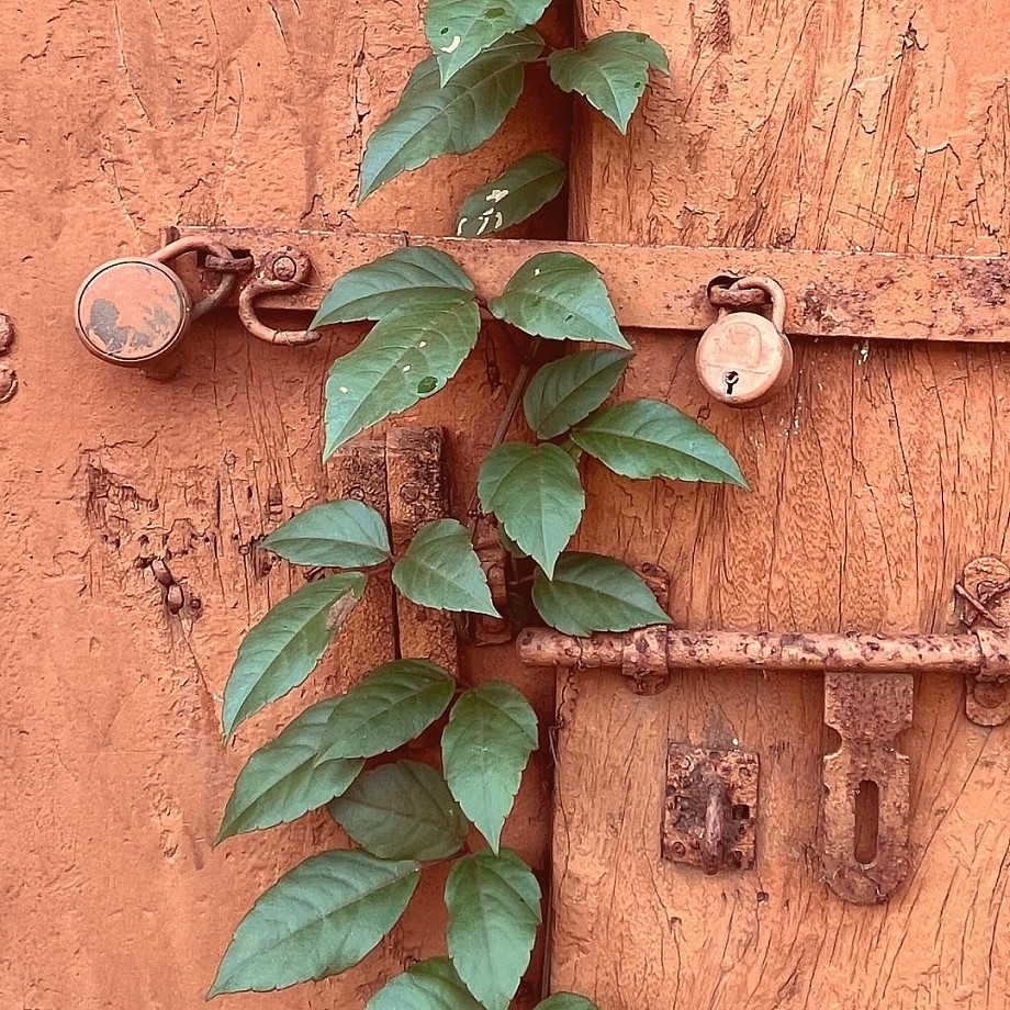 Brantsandpatents blog posts 5