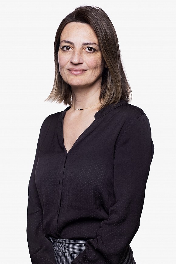 Octrooien Eylem